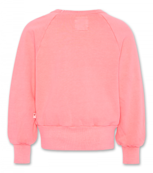 Sweater fluo classics 510