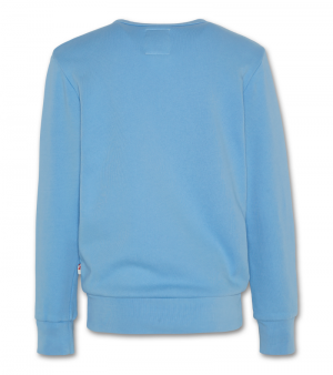 Sweater streep 785