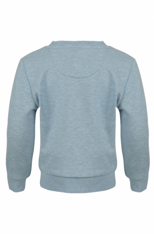 Sweater dier soft blue