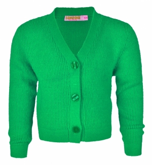 Gilet tricot green