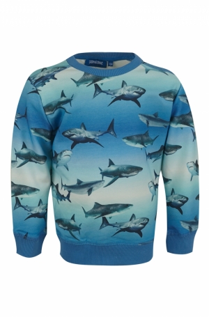 Sweater print blue