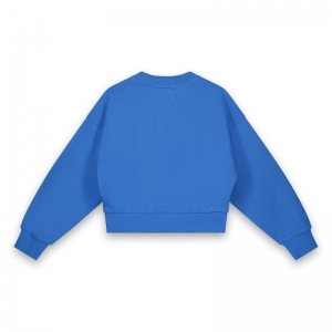 Sweater borduring 175