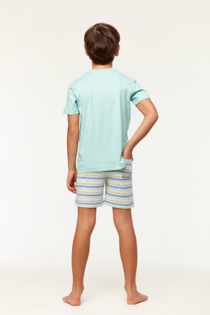 Pyjama jongen short 702