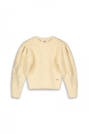Pull tricot 406