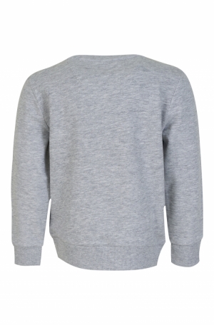 Sweater Wild grey melange
