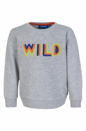 Sweater Wild grey melange