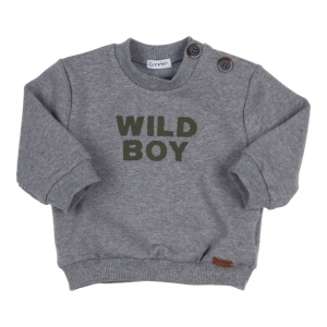 Sweater WILD BOY grey melange