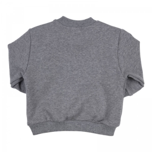Sweater WILD BOY grey melange