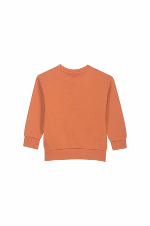 Sweater grizzly cognac