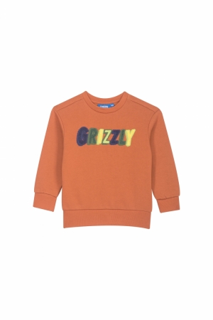 Sweater grizzly cognac