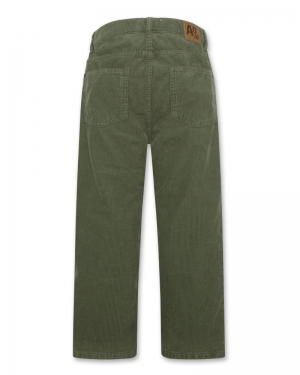 Broek fluweel 457