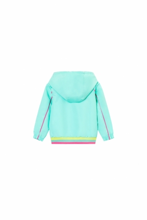 Jas effen mint