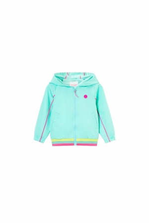 Jas effen mint