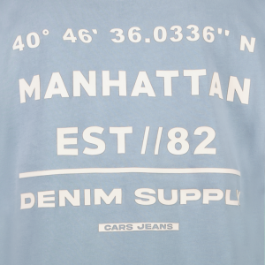 T-shirt 71/grey blue
