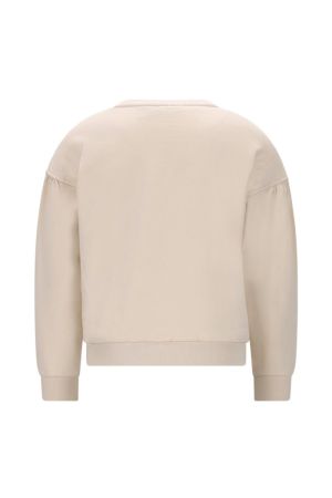 Sweater borduursel  kit