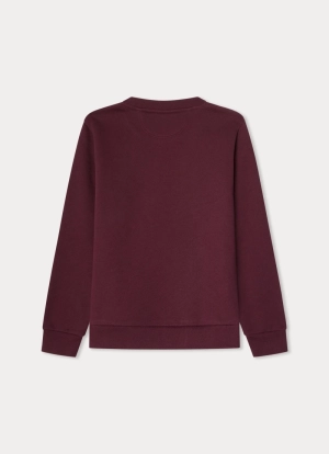 Sweater hond Harry 299