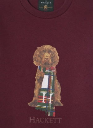 Sweater hond Harry 299