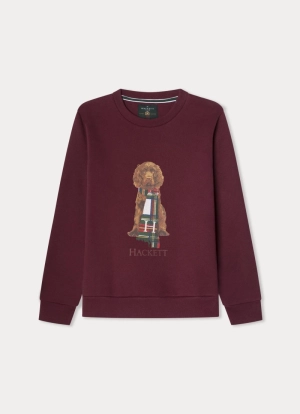 Sweater hond Harry 299