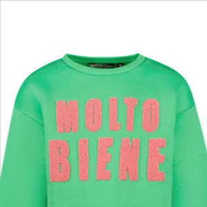 Sweater roze opdruk 55/green