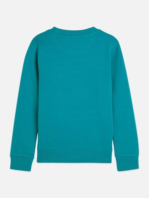 Sweater logo 410