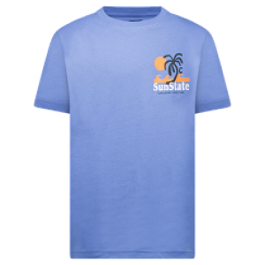 T-shirt opdruk 71/grey blue