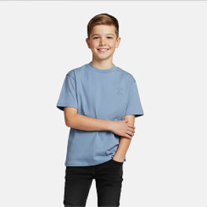 T-shirt 71/grey blue