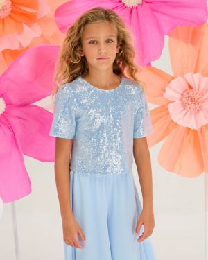 Bloes paillet blue
