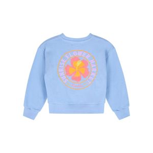 Sweater roze bedrukking blue