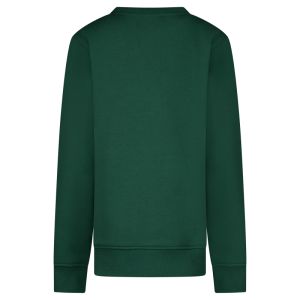 Sweater ronde hals 55/green