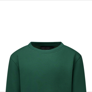 Sweater ronde hals 55/green