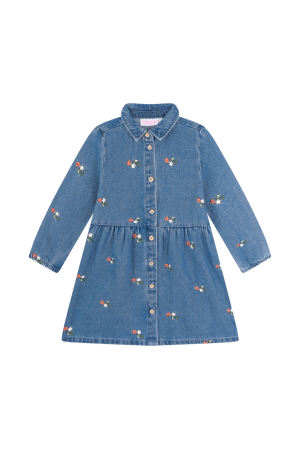 Kleed jeans broderie denim blue