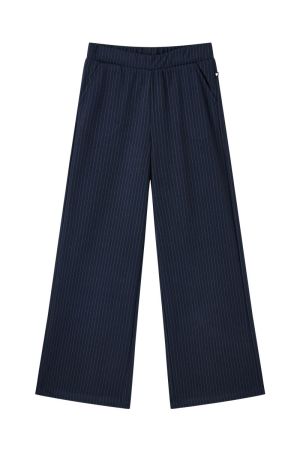 Broek krijt streepje dark blue