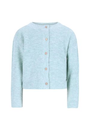 Gilet tricot knoopsluiting aqua
